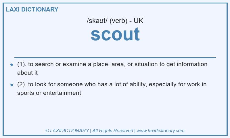 Definition scout in British English