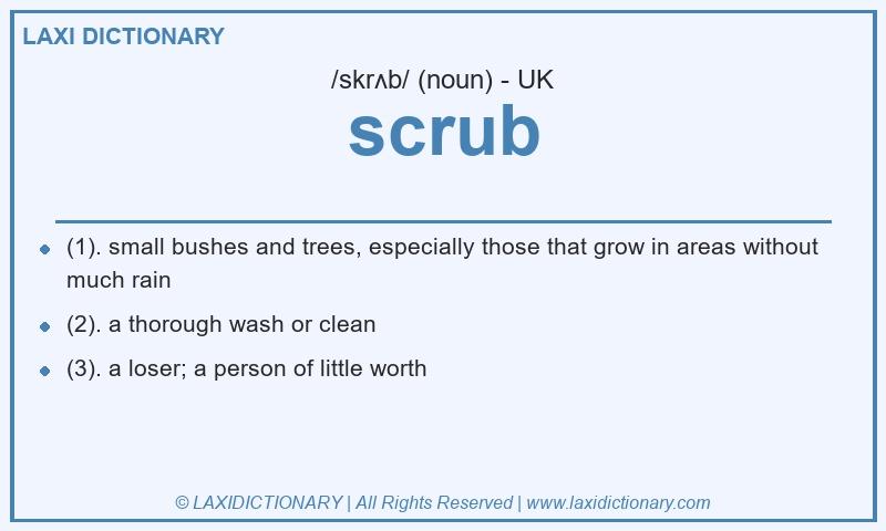 Definition scrub in British English