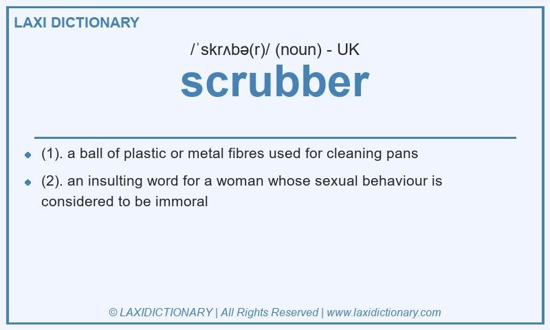 Definition scrubber in British English