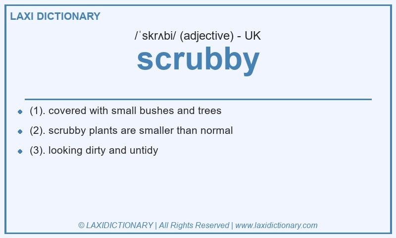 Definition scrubby in British English