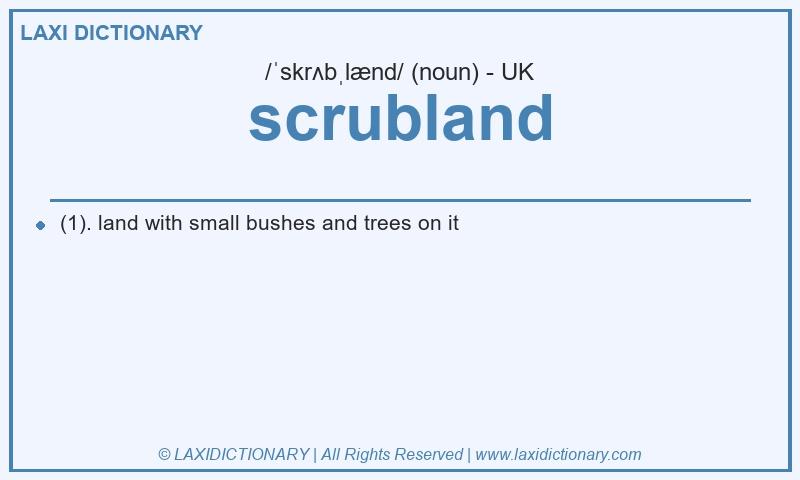 Definition scrubland in British English