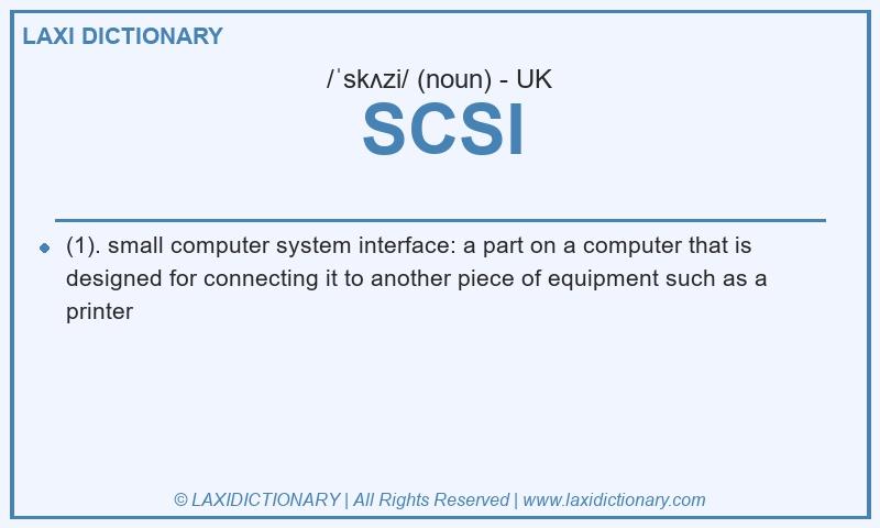 Definition SCSI in British English