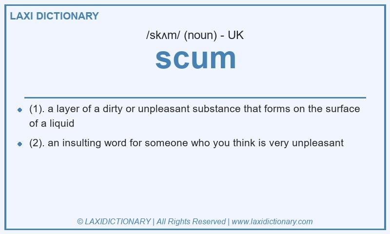 Definition scum in British English