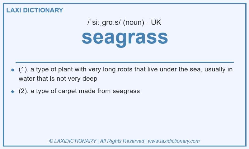 Definition seagrass in British English