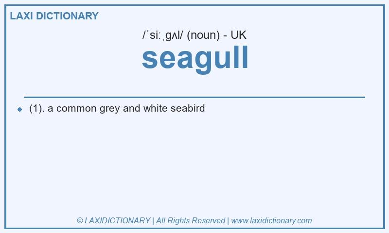 Definition seagull in British English