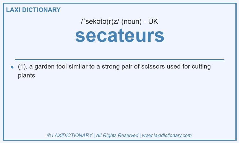 Definition secateurs in British English