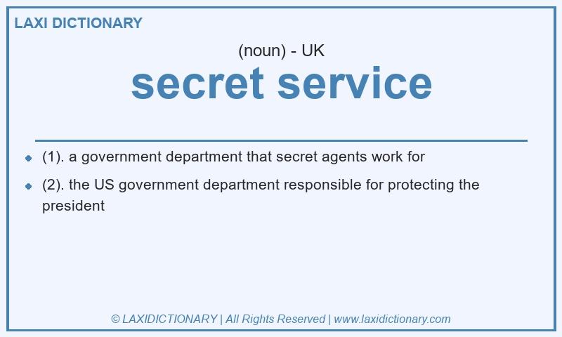 Definition secret service in British English