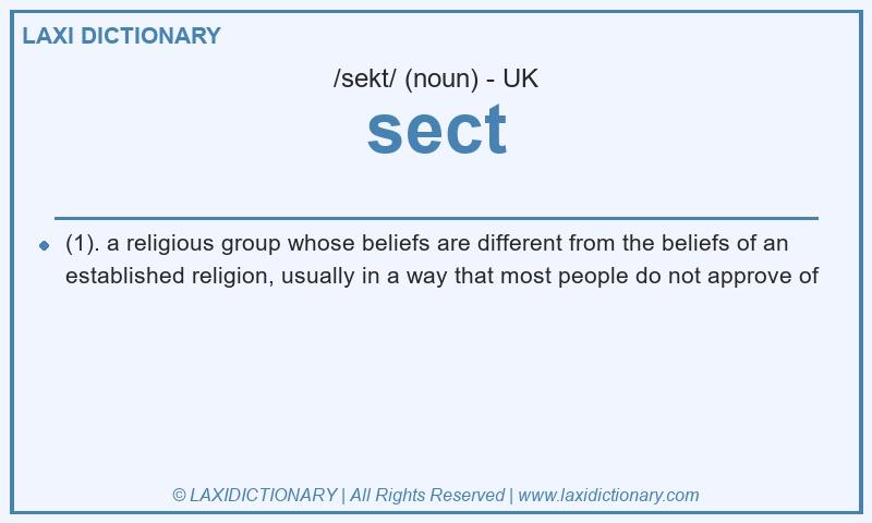 Definition sect in British English