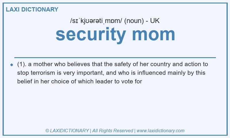 Definition security mom in British English