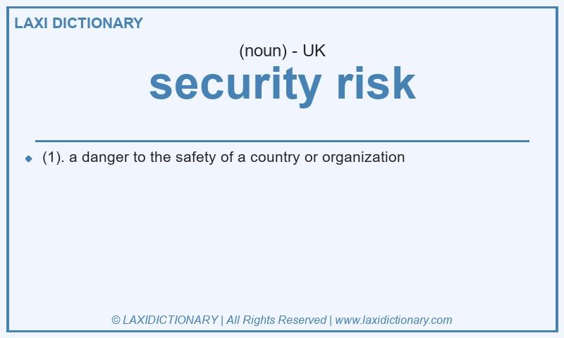 Definition security risk in British English