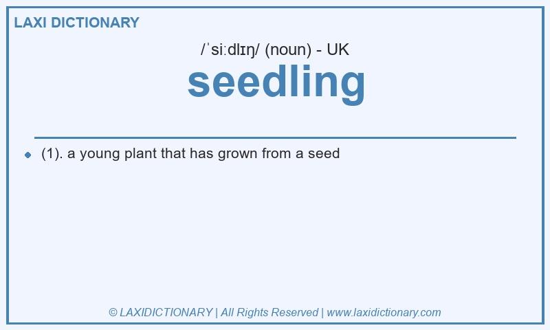 Definition seedling in British English