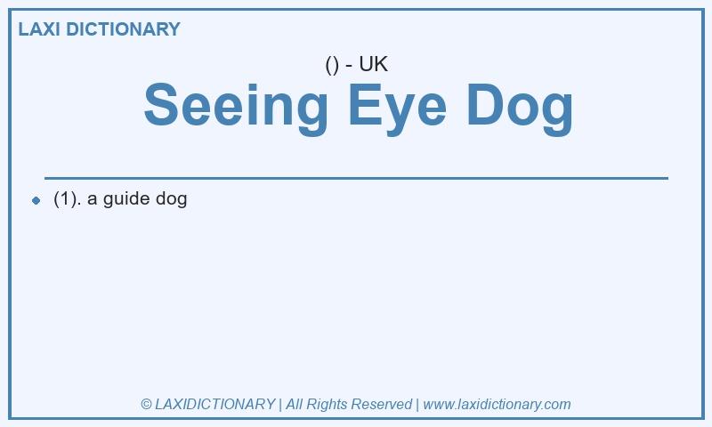 Definition Seeing Eye Dog in British English