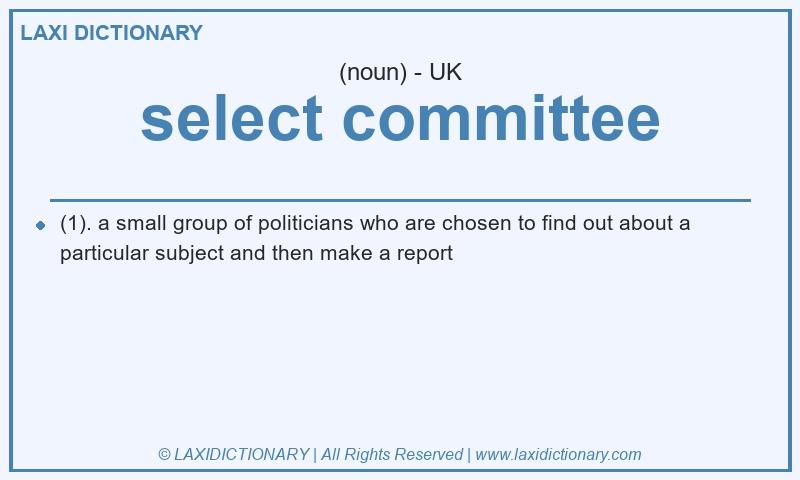 Definition select committee in British English