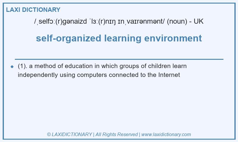 Definition self-organized learning environment in British English