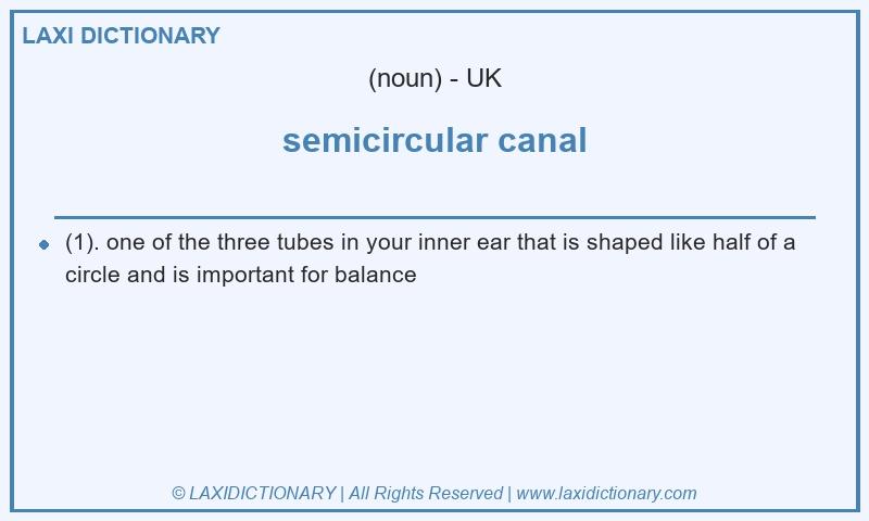 Definition semicircular canal in British English