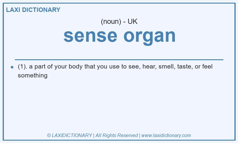 Definition sense organ in British English