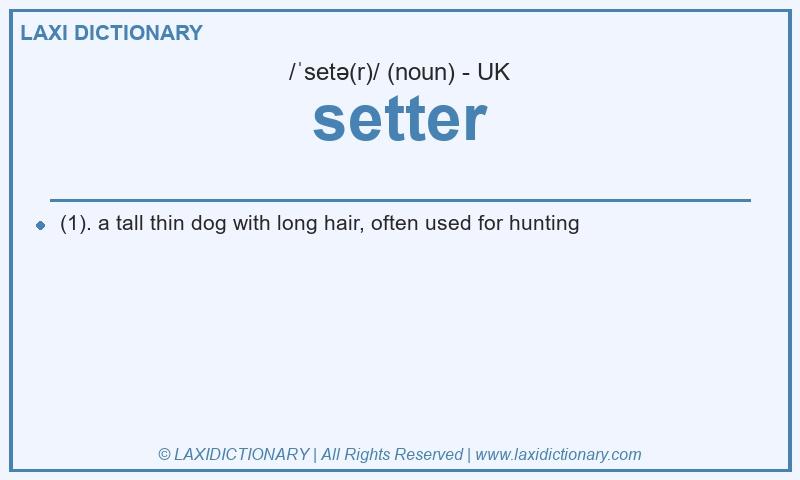 Definition setter in British English
