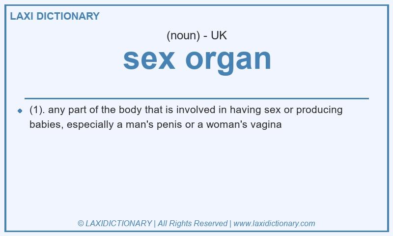 Definition sex organ in British English