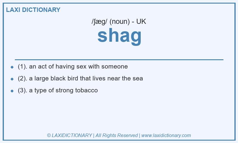Definition shag in British English
