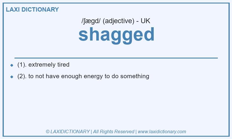 Definition shagged in British English