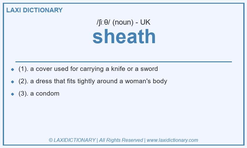 Definition sheath in British English