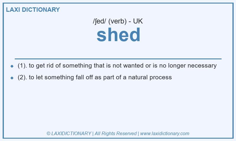 Definition shed in British English