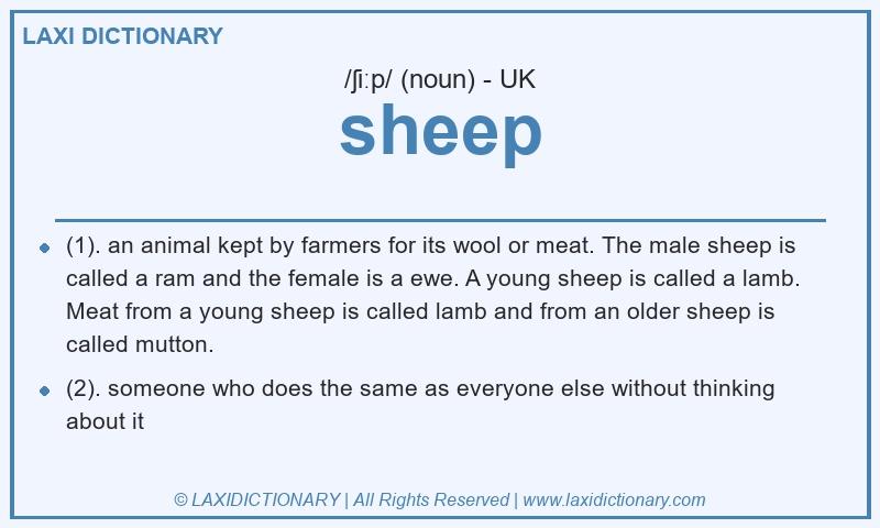 Definition sheep in British English