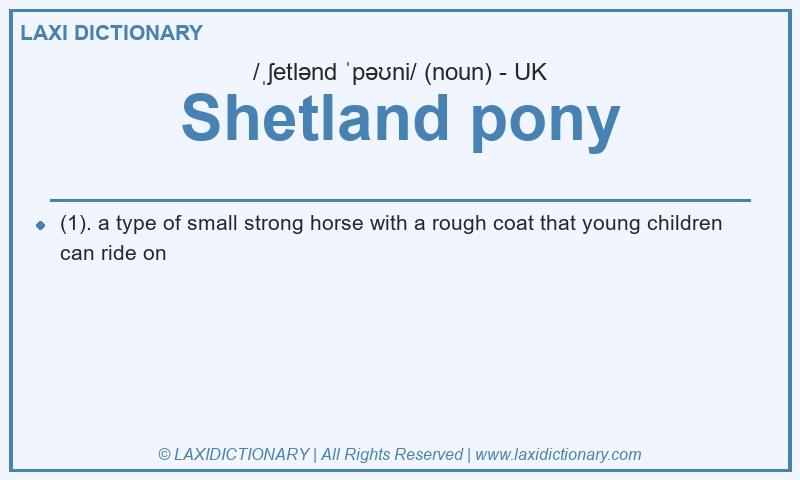 Definition Shetland pony in British English