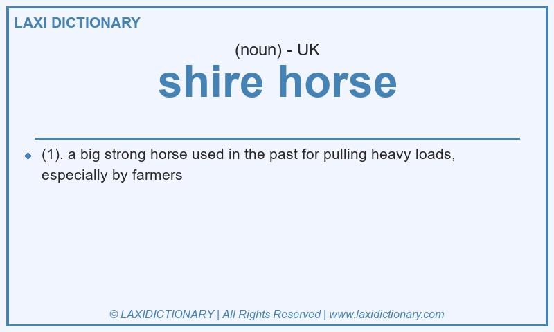 Definition shire horse in British English