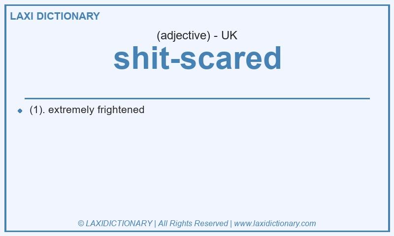 Definition shit-scared in British English