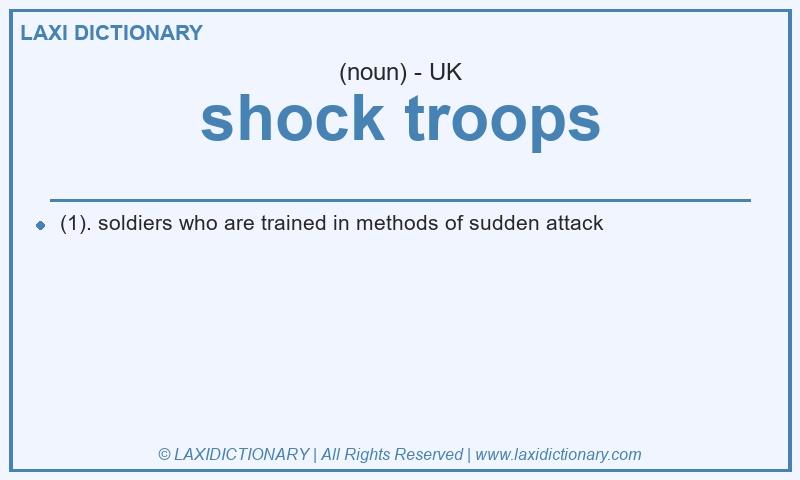 Definition shock troops in British English