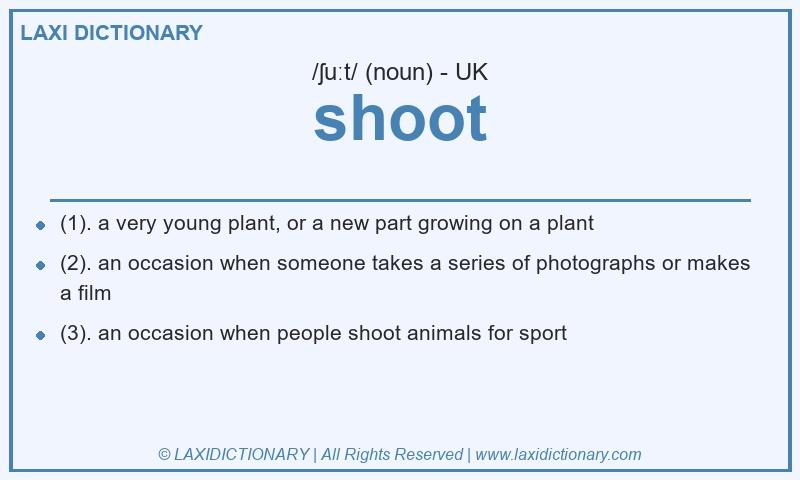 Definition shoot in British English