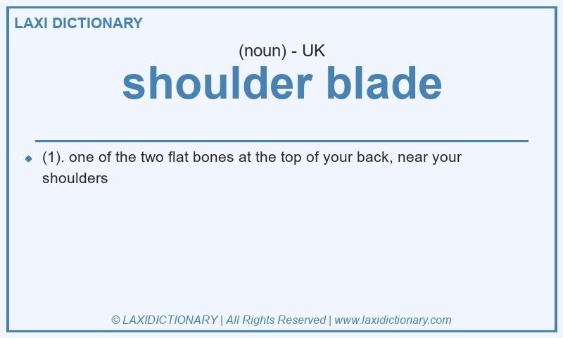 Definition shoulder blade in British English