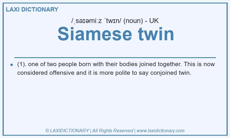 Definition Siamese twin in British English