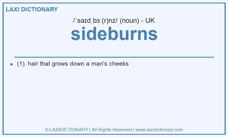 Definition sideburns in British English