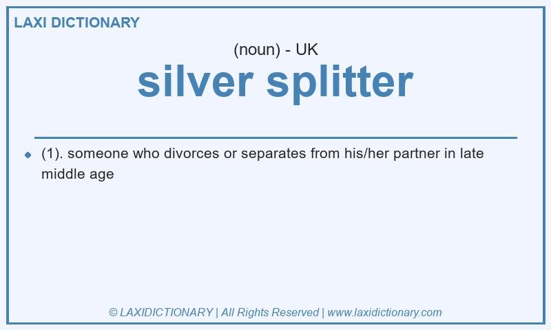 Definition silver splitter in British English