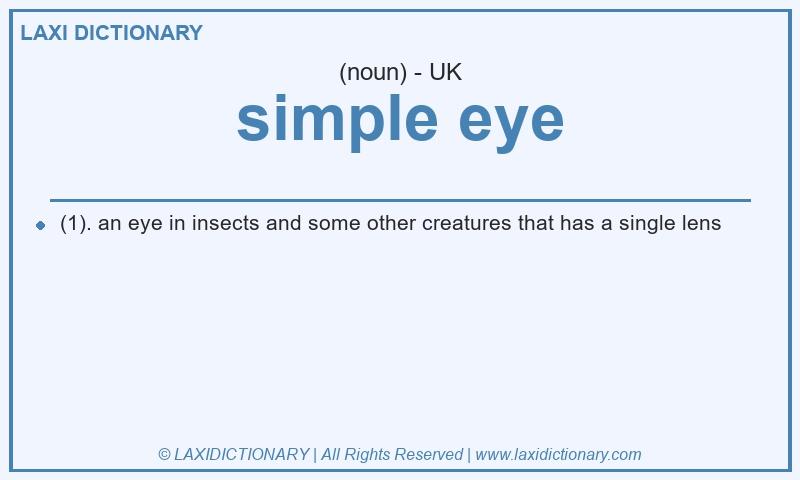 Definition simple eye in British English