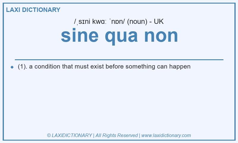 Definition sine qua non in British English