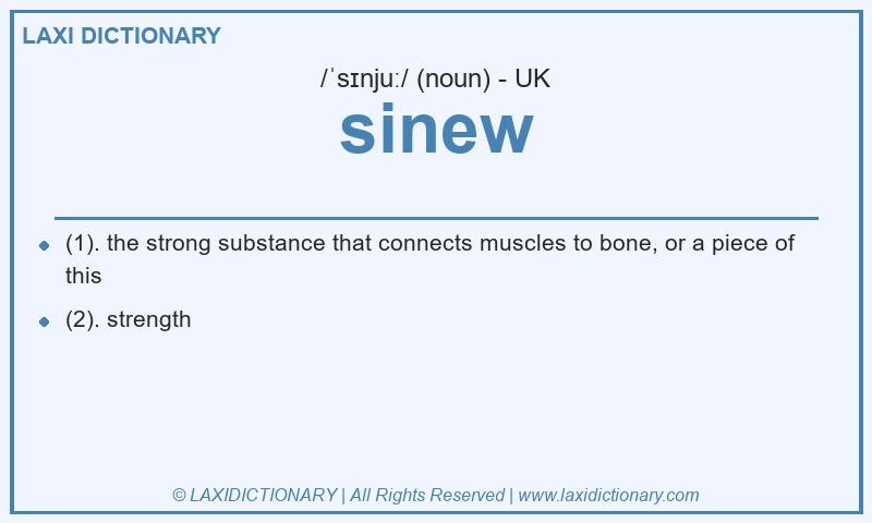 Definition sinew in British English