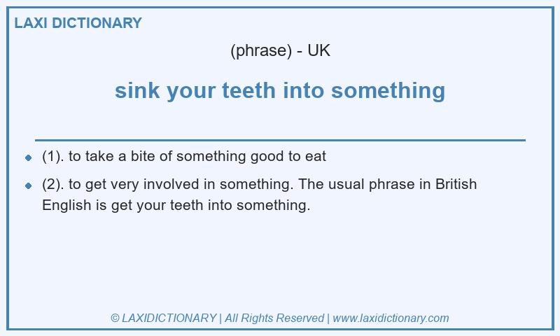 Definition sink your teeth into something in British English