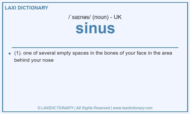 Definition sinus in British English