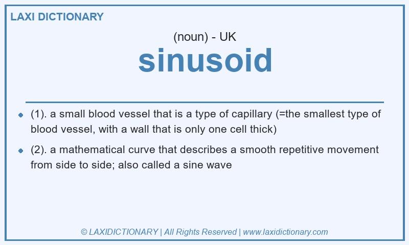 Definition sinusoid in British English