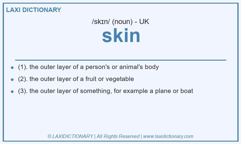 Definition skin in British English