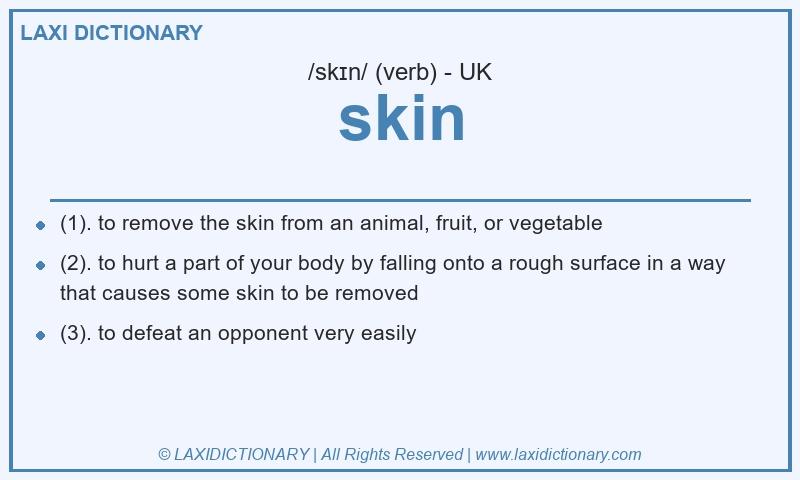 Definition skin in British English