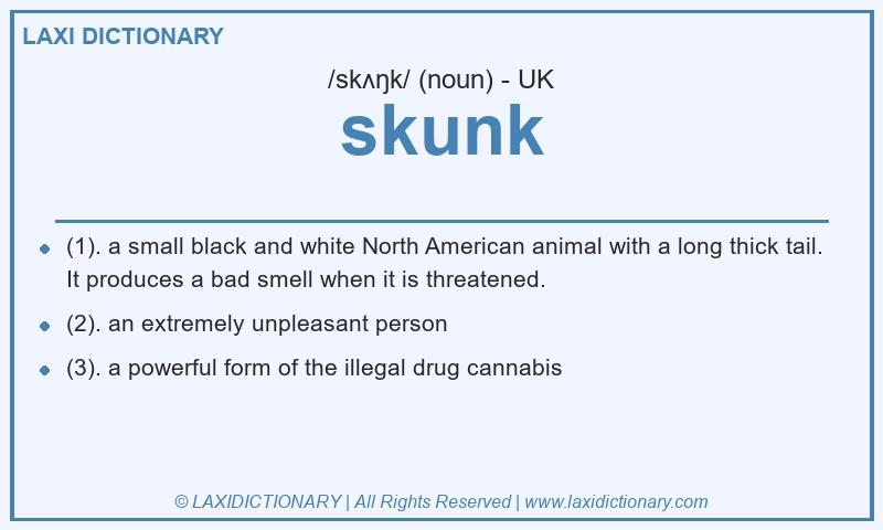 Definition skunk in British English