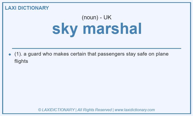 Definition sky marshal in British English