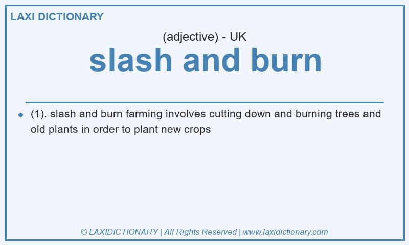 Definition slash and burn in British English