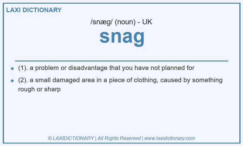 Definition snag in British English