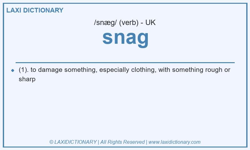 Definition snag in British English