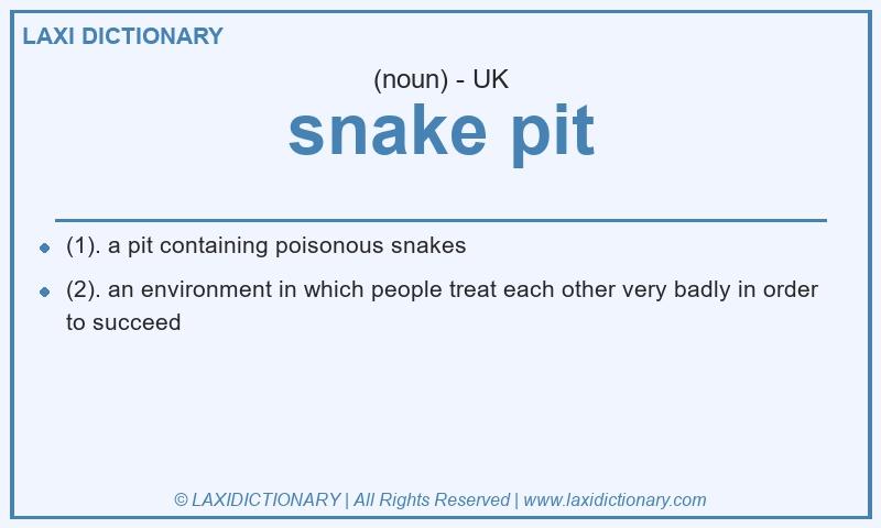 Definition snake pit in British English